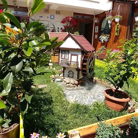Flora Ohrid